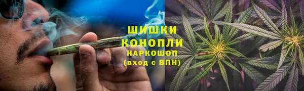 спиды Новозыбков