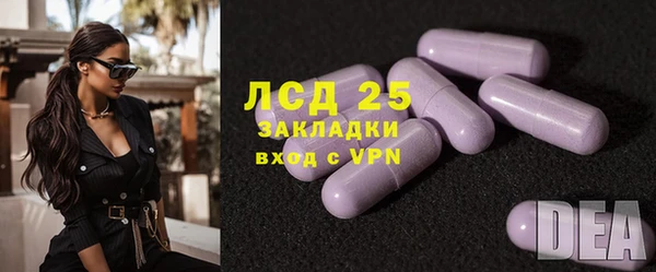 спиды Новозыбков