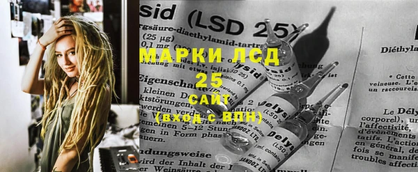 спиды Новозыбков