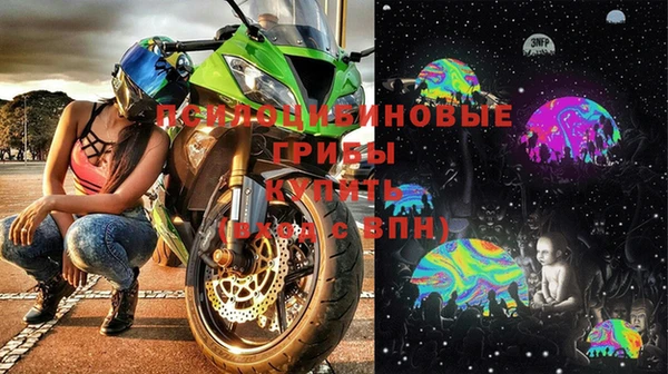 спиды Новозыбков