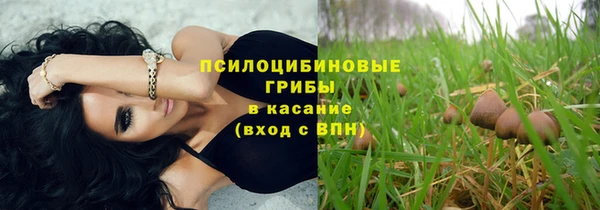 спиды Новозыбков