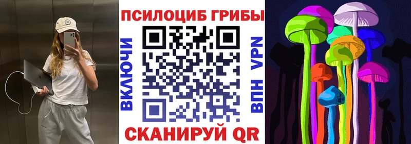 Купить закладки  Приморск  Галлюциногенные грибы Psilocybe 